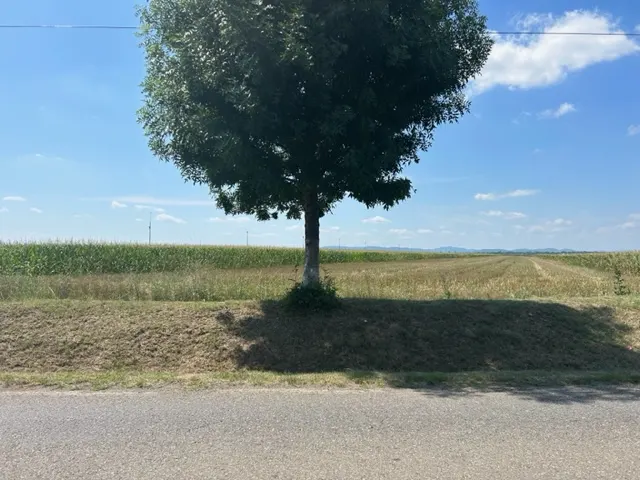 Oportunitate!Vanzare teren intravilan Baicoi,zona Infratirii, - foto 1