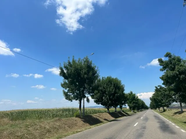 Oportunitate!Vanzare teren intravilan Baicoi,zona Infratirii, - foto 2