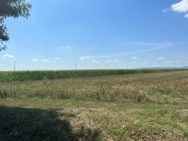 Oportunitate!Vanzare teren intravilan Baicoi,zona Infratirii, - foto 11