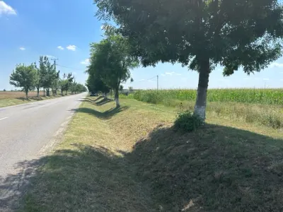 Oportunitate!Vanzare teren intravilan Baicoi,zona Infratirii, - foto 12
