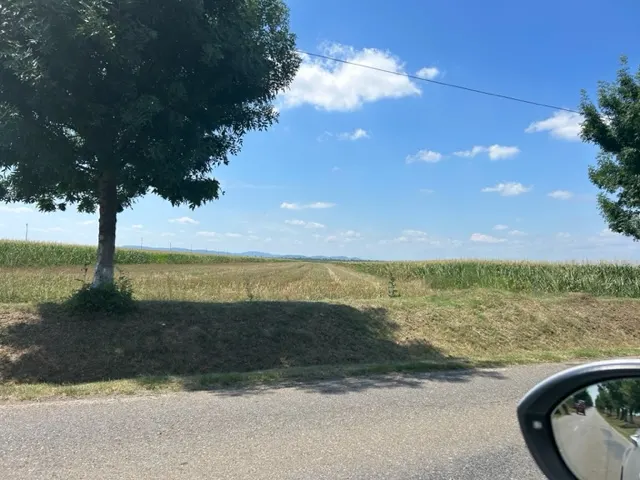 Oportunitate!Vanzare teren intravilan Baicoi,zona Infratirii, - foto 14