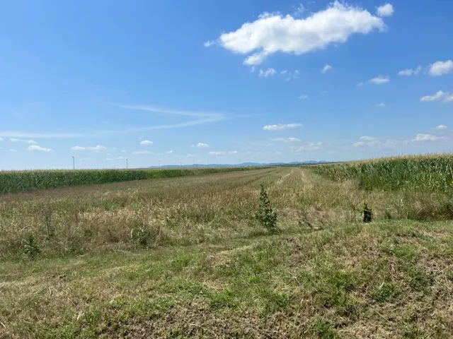 Oportunitate!Vanzare teren intravilan Baicoi,zona Infratirii, - foto 8