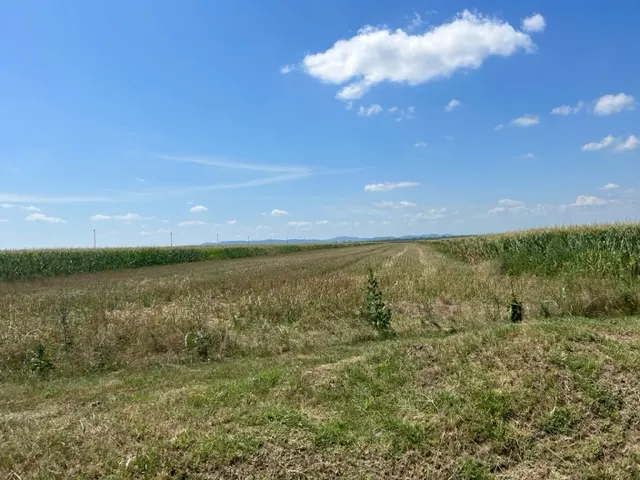 Oportunitate!Vanzare teren intravilan Baicoi,zona Infratirii, - foto 9