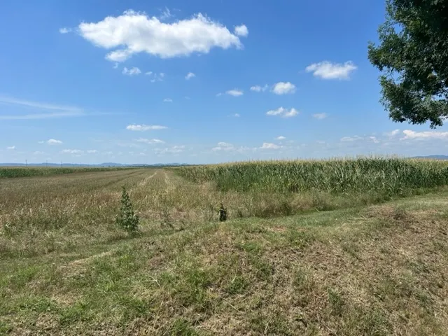 Oportunitate!Vanzare teren intravilan Baicoi,zona Infratirii, - foto 10