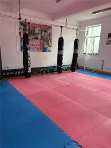 Spatiu comercial Vl Rosie - Craiova