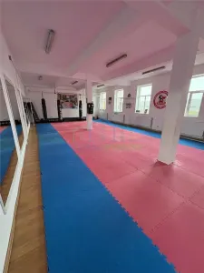 Spatiu comercial Vl Rosie - foto 3