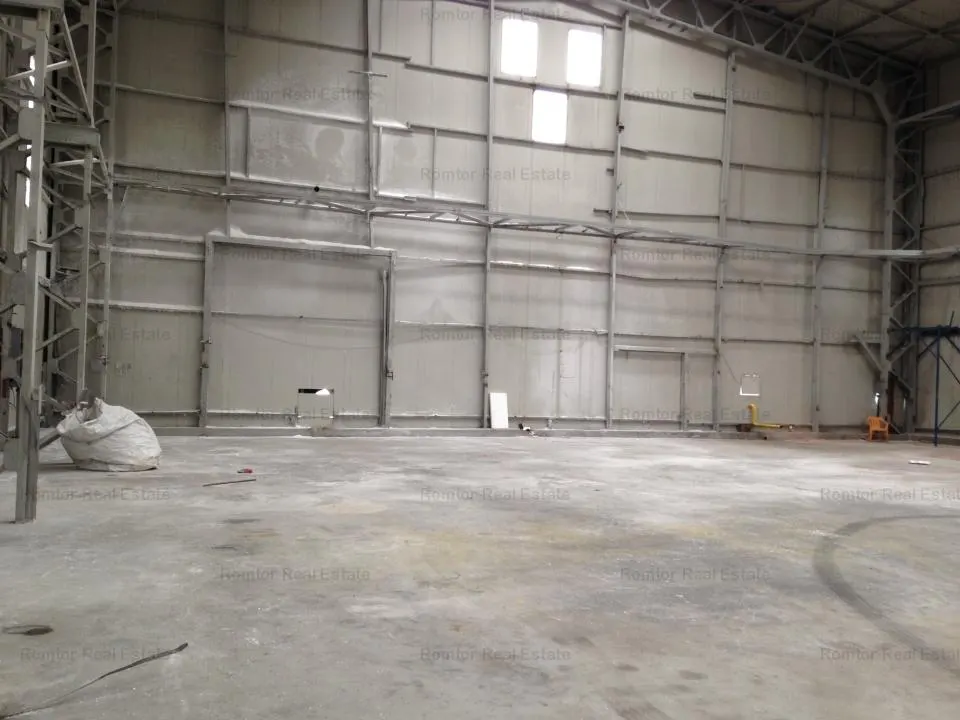 Spatiu industrial de inchiriat Zona Est - Platforma Faur - foto 7