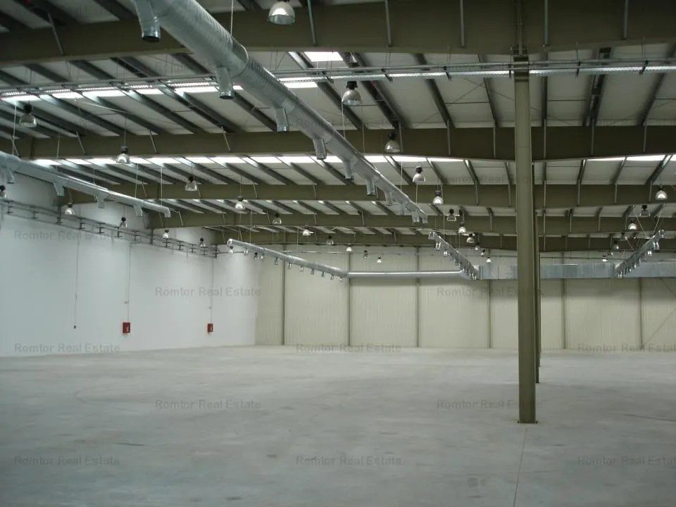 Hala depozitare si productie - Zona Est Platforma Faur - foto 3