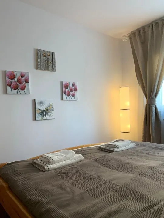 Apartament cu 2 camere Grivitei , - foto 3