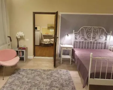 Garsoniera lux Centru Istoric  395 Euro - foto 3