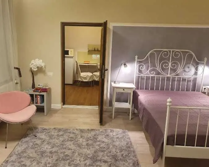 Garsoniera lux Centru Istoric  395 Euro - foto 3