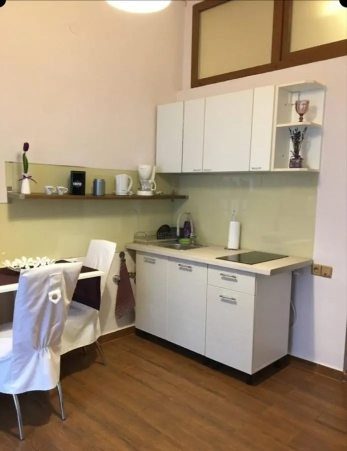 Garsoniera lux Centru Istoric  395 Euro - foto 8