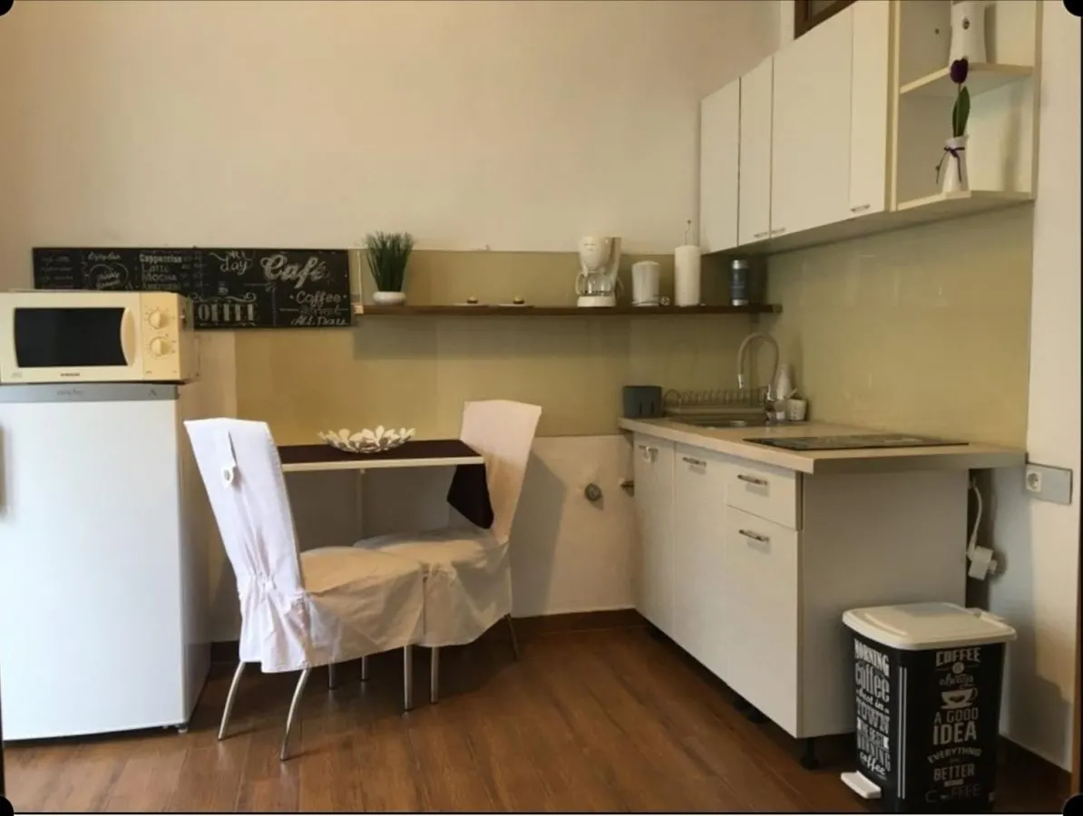 Garsoniera lux Centru Istoric  395 Euro - foto 9
