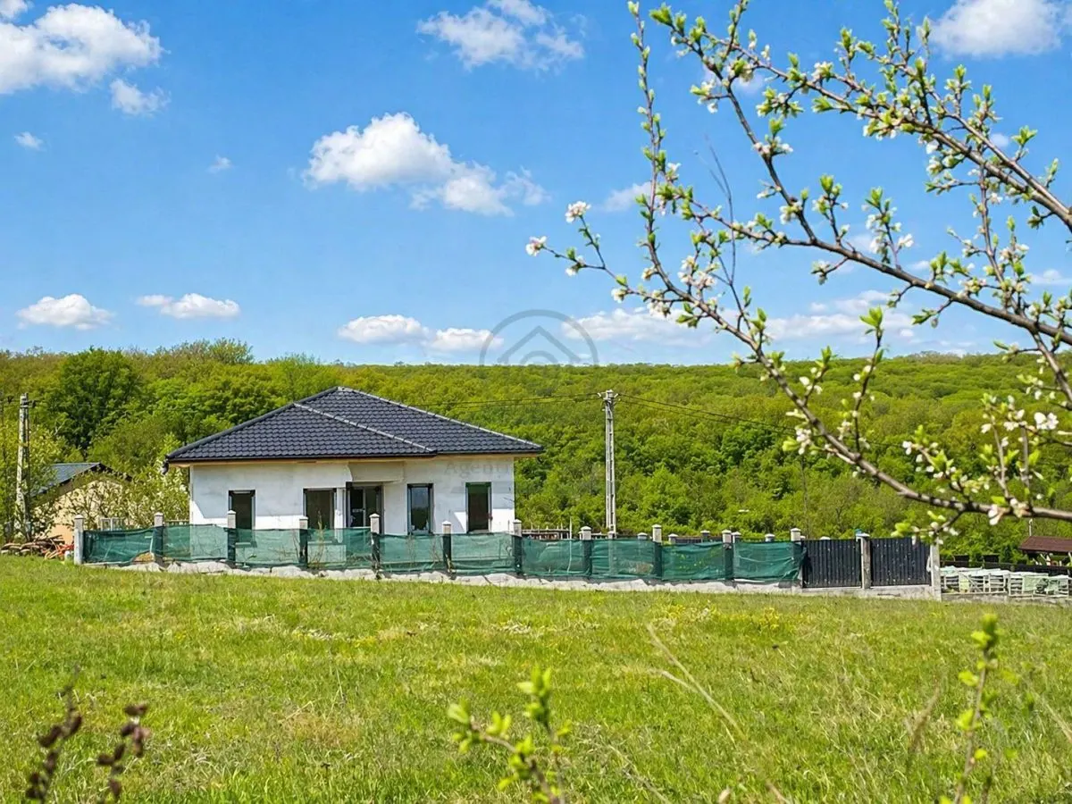 Casa Miroslava Ciurbesti 4 camere/2 bai - foto 2
