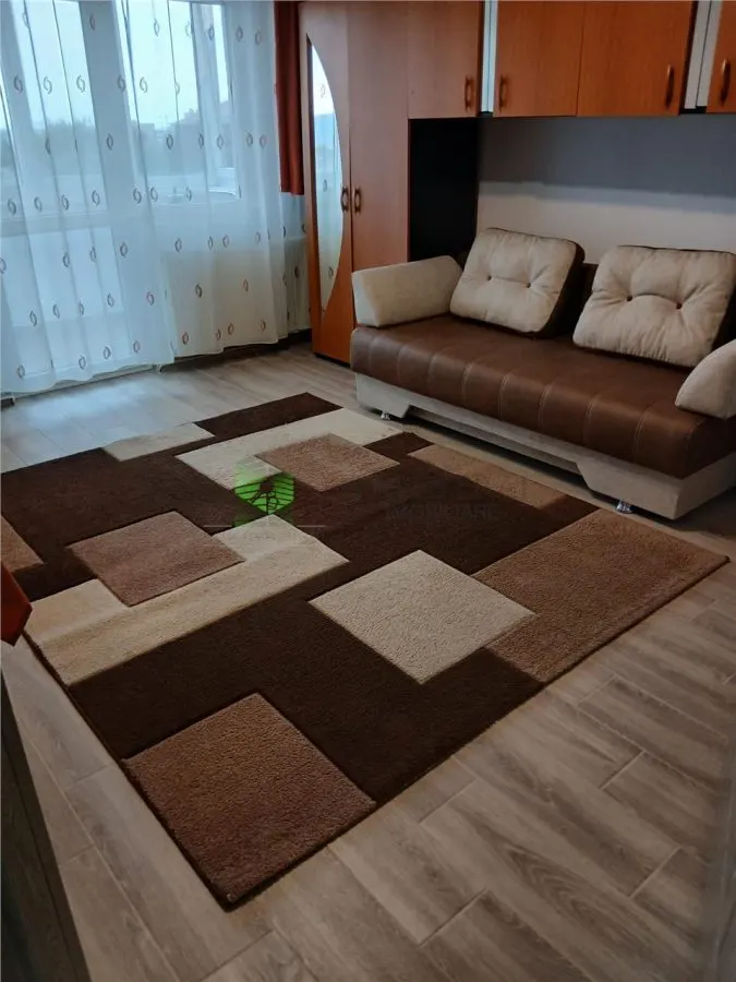 GARSONIERA MOBILATA-UTILATA FAGET,350 EURO - foto 1