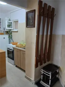 GARSONIERA MOBILATA-UTILATA FAGET,350 EURO - foto 3