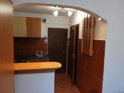 GARSONIERA UZINA 2 - foto 2