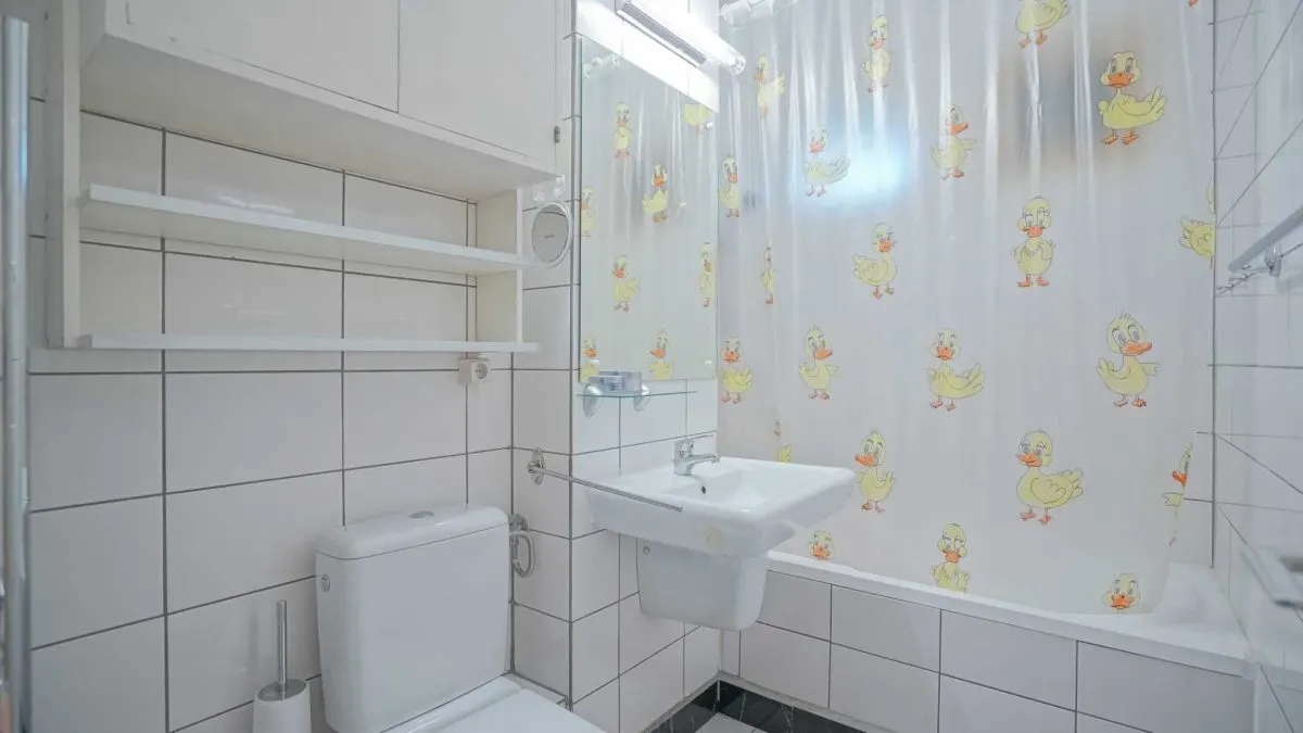 2 camere Astra-parc,etaj intermediar,92900 Euro neg - foto 5