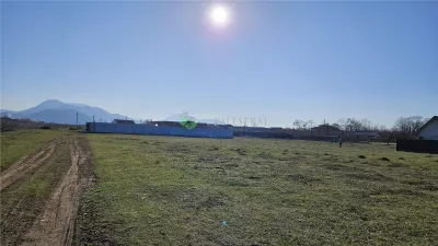 Teren 700 mp TARLUNGENI,ideal constructie casa - foto 4