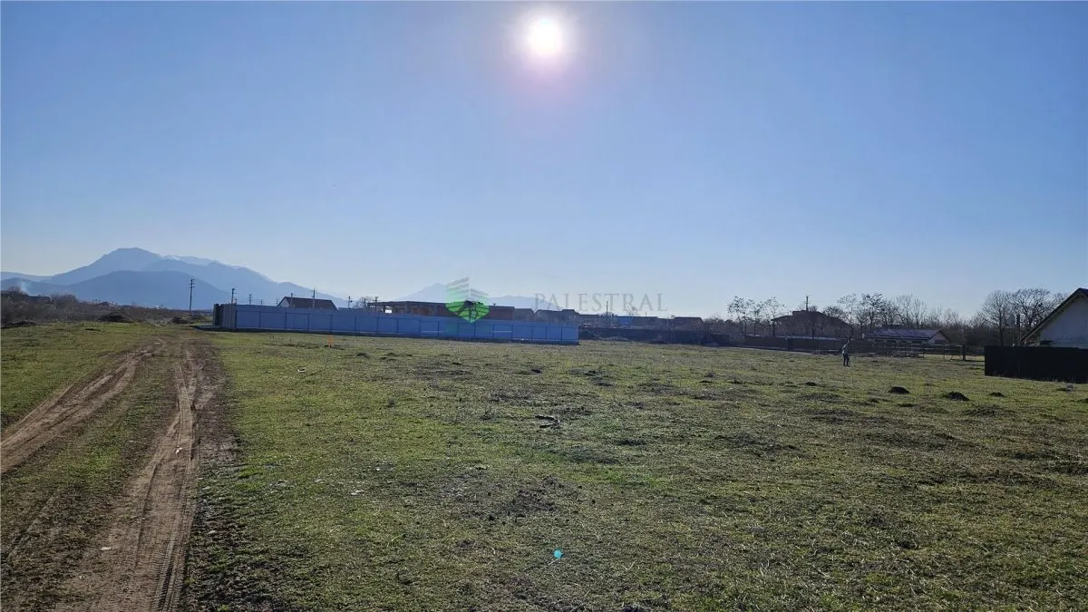 Teren 700 mp TARLUNGENI,ideal constructie casa - foto 4
