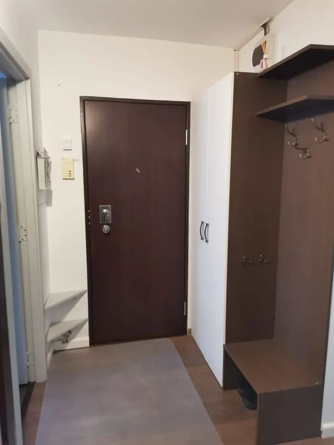 APARTAMENT 3 CAMERE SCRIITORILOR - foto 5
