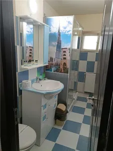 Apartament 3 camere Zizinului,zona Judetean,155000 Euro - foto 7