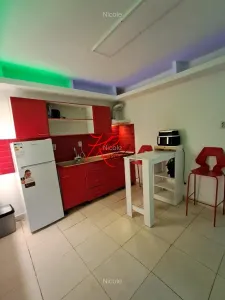 Vanzare garsoniera Mosilor in vila - Bucuresti