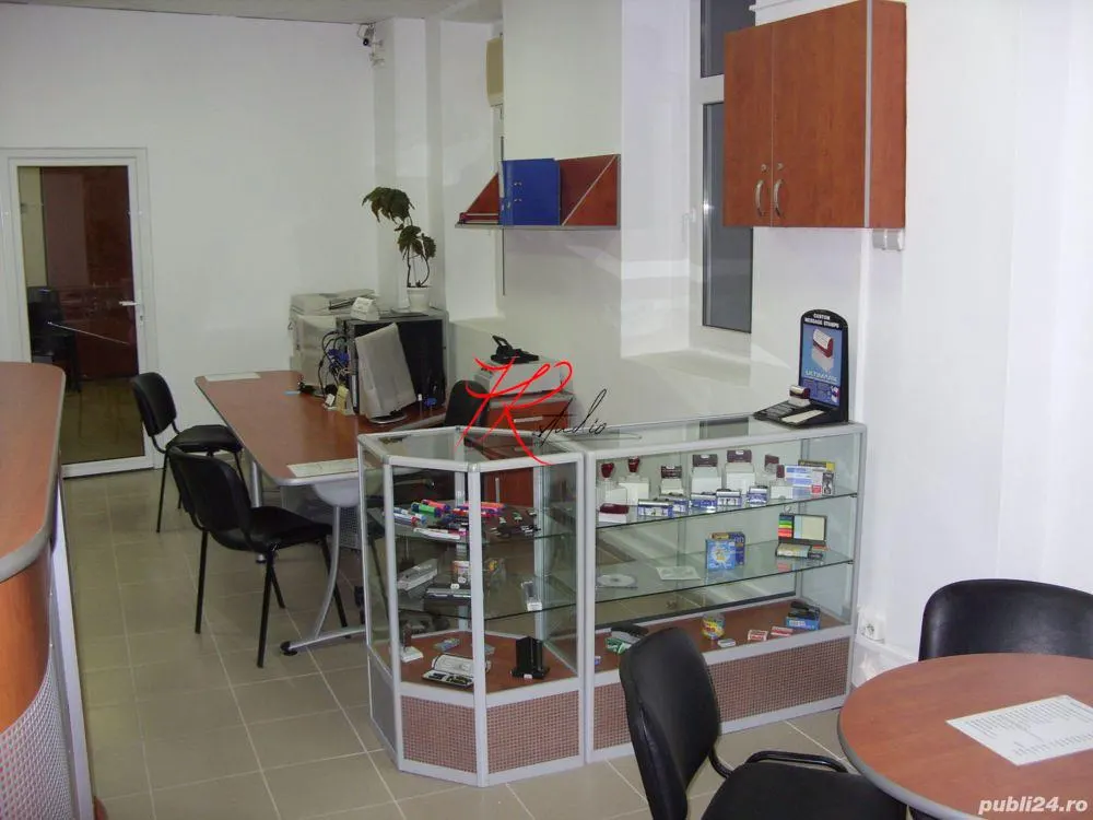 Vanzare casa si teren Mosilor - foto 8