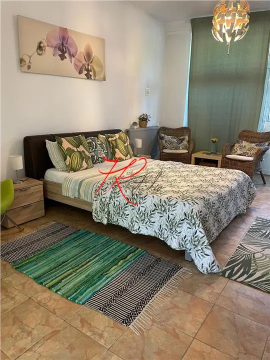 Vanzare vila cu spati comerciale si apartamente, ideal afacere - foto 2