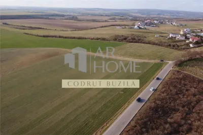 Teren intravilan 2500mp, Bucov - Chitorani