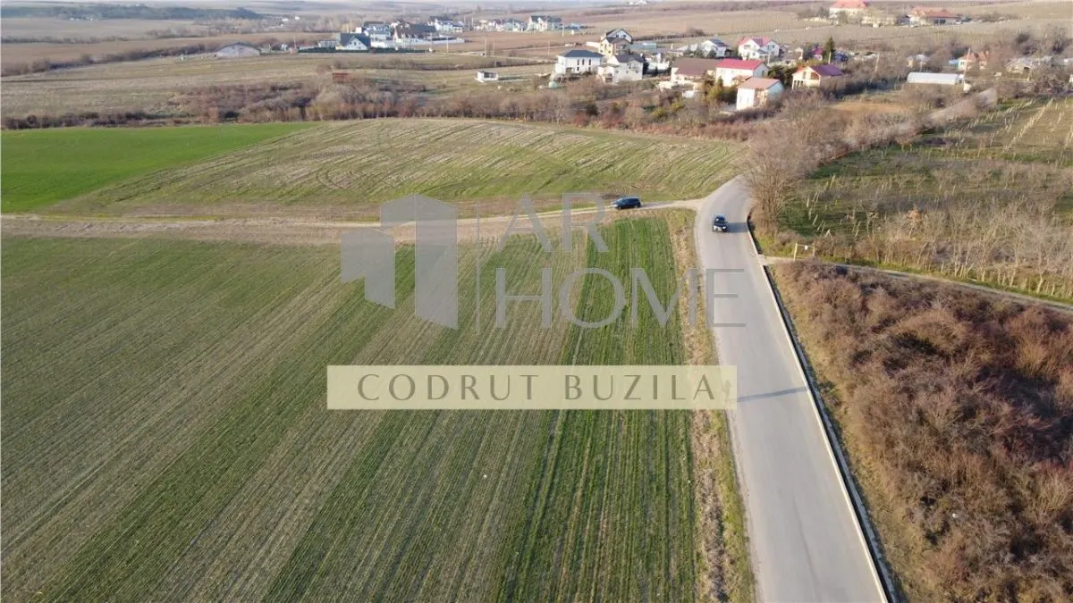 Teren intravilan 2500mp, Bucov - foto 3