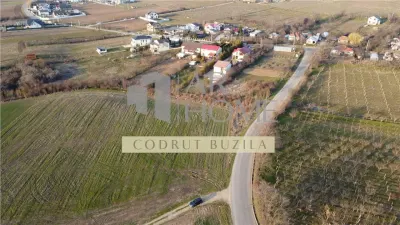 Teren intravilan 2500mp, Bucov - foto 5