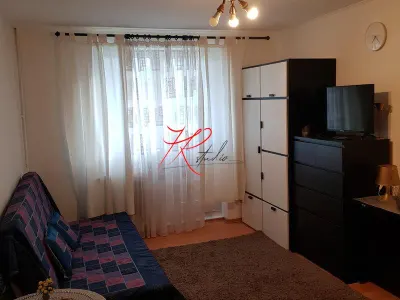 Vanzare apartament 2 camere Teiul Doamnei, mobilat - foto 2