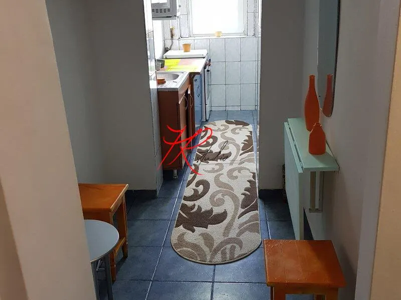 Vanzare apartament 2 camere Teiul Doamnei, mobilat - foto 11