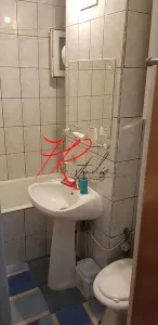 Vanzare apartament 2 camere Teiul Doamnei, mobilat - foto 13