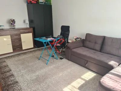Vanzare apartament 2 camere Herestrau-Baneasa, renovat - foto 13