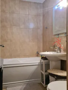 Vanzare apartament 2 camere Herestrau-Baneasa, renovat - foto 8