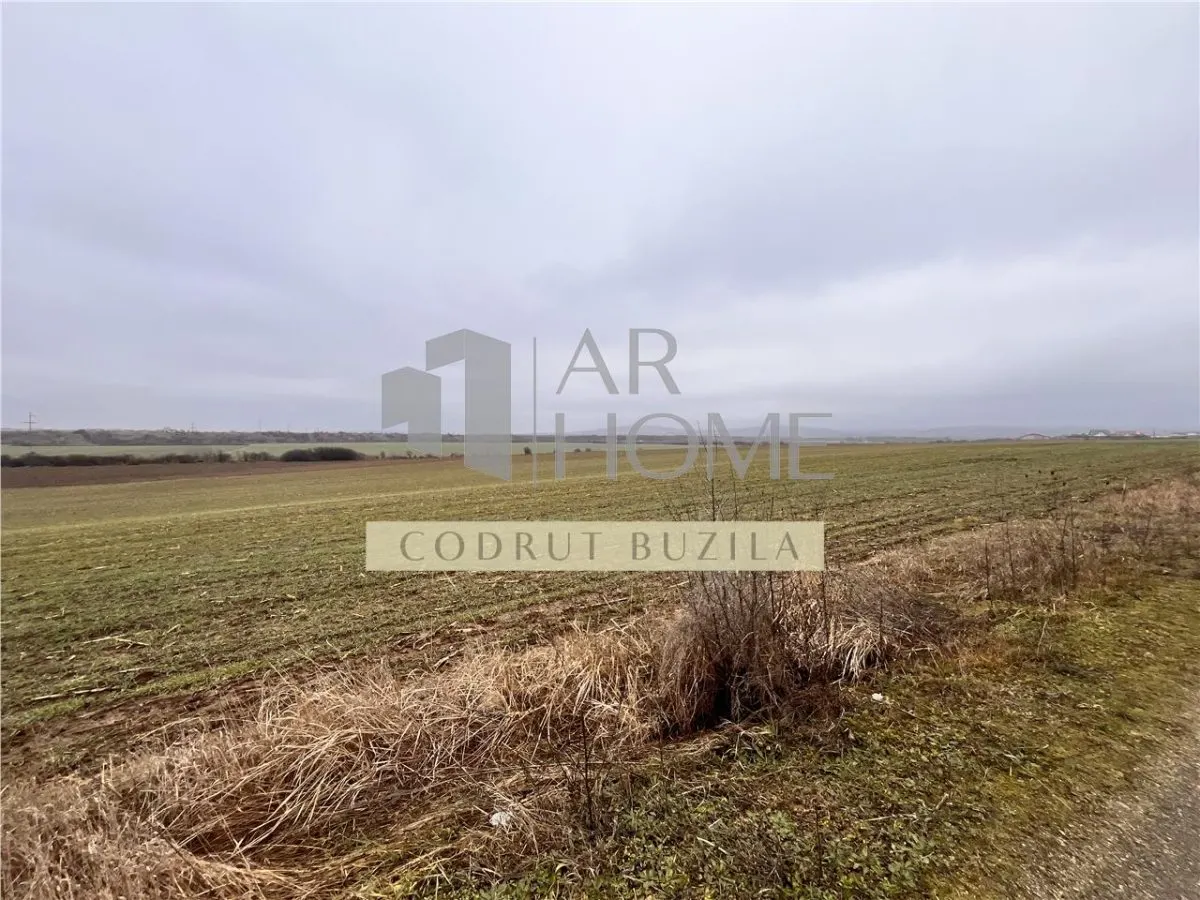 Teren intravilan 4792 mp,  Bucov - foto 1
