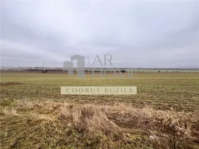 Teren intravilan 4792 mp,  Bucov - foto 2