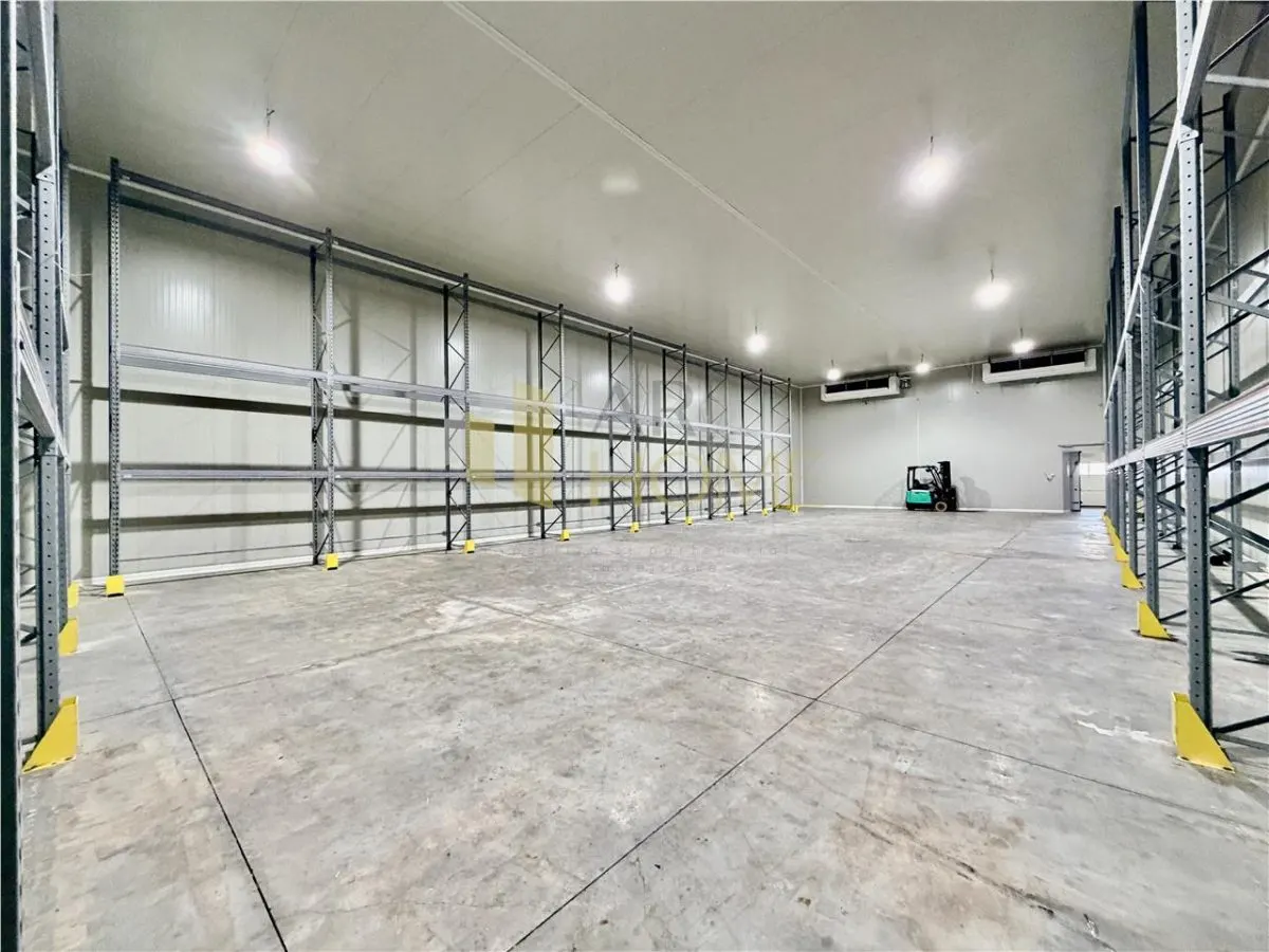 Hale noi cu refrigerare, 500 mp, acces TIR, Nord, Ploiesti - foto 1