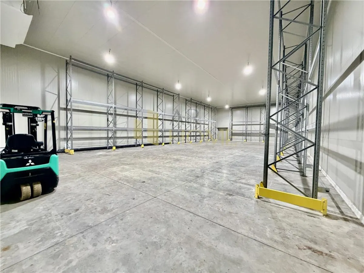 Hale noi cu refrigerare, 500 mp, acces TIR, Nord, Ploiesti - foto 5
