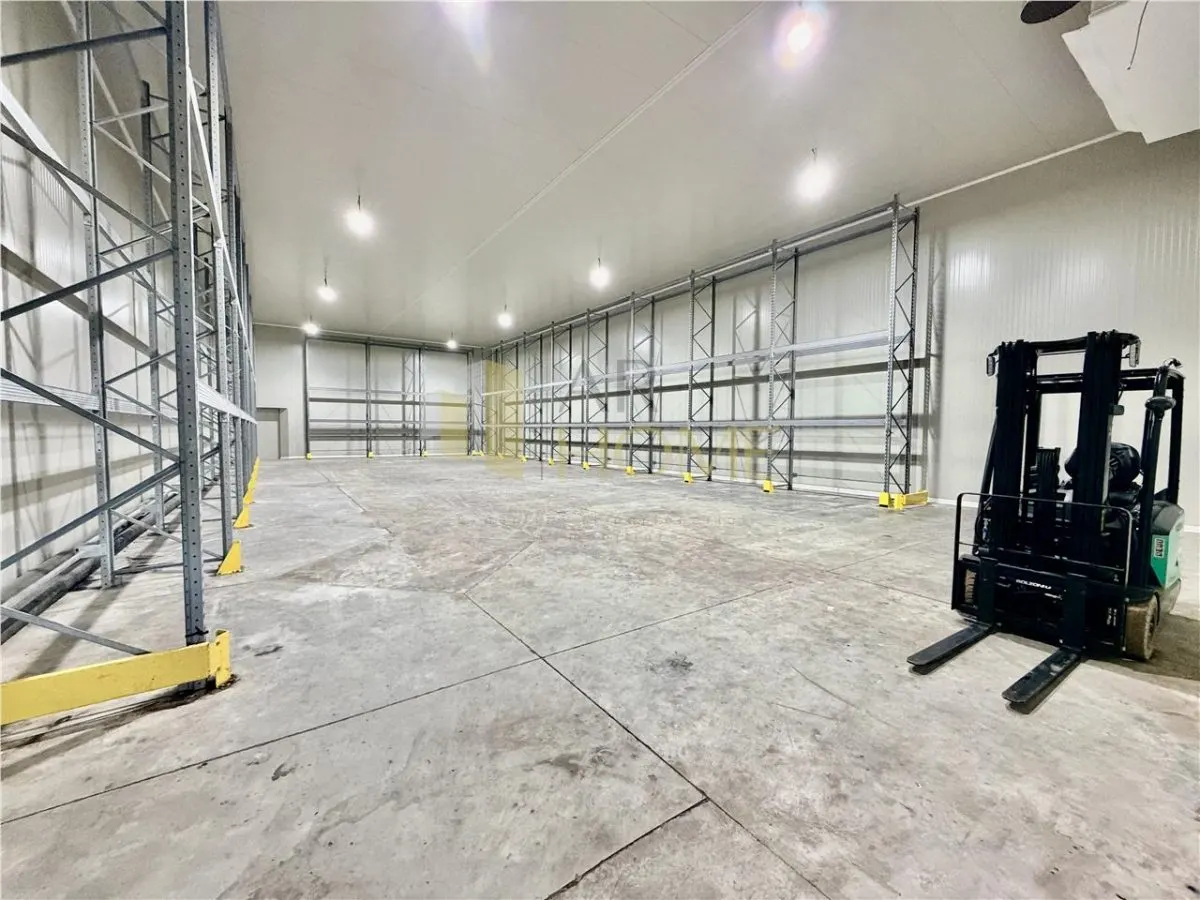 Hale noi cu refrigerare, 500 mp, acces TIR, Nord, Ploiesti - foto 6