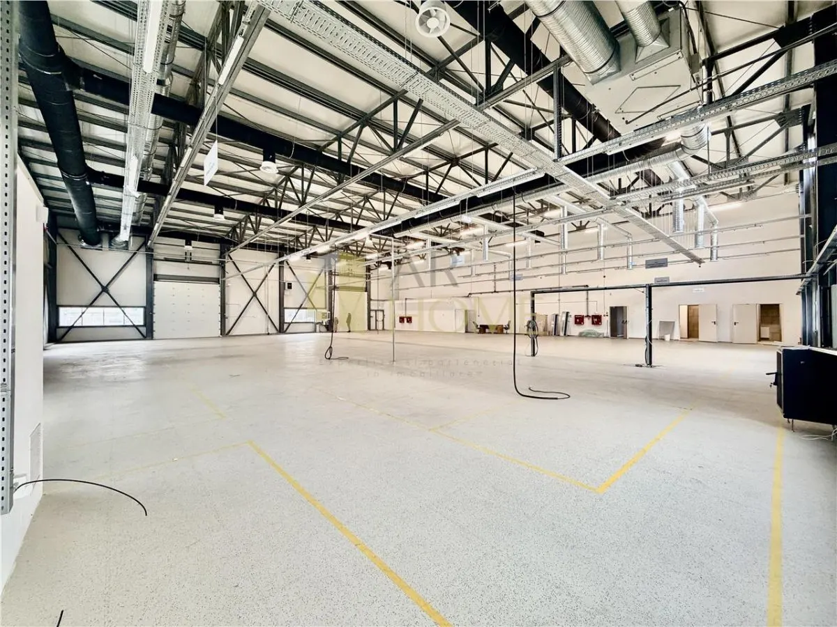 Hala industriala premium cu birouri | Parc Industrial Vest | Acces TIR - foto 2