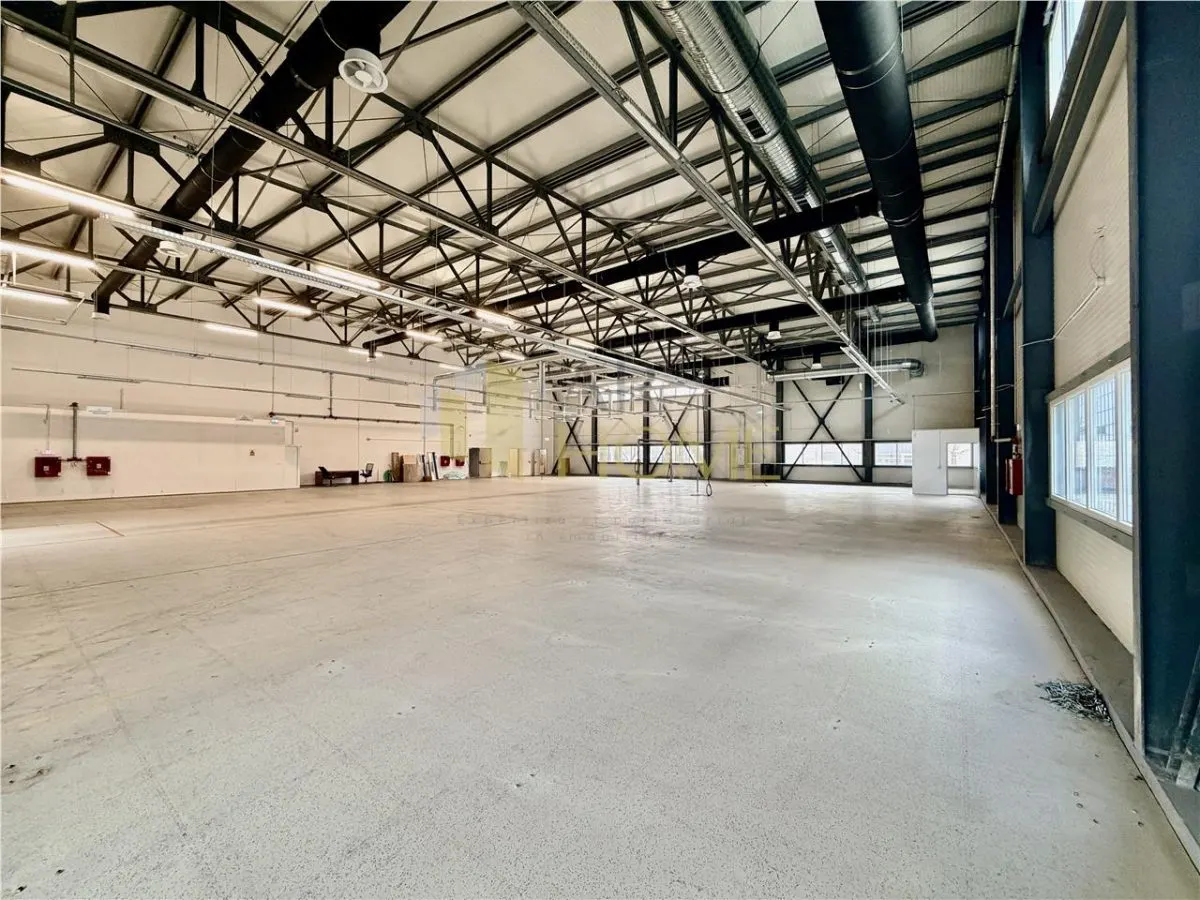 Hala industriala premium cu birouri | Parc Industrial Vest | Acces TIR - foto 3