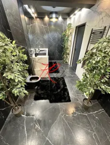 Vanzare apartament mobilat, 2/3 camere lux Herestrau, cu parcare - foto 16