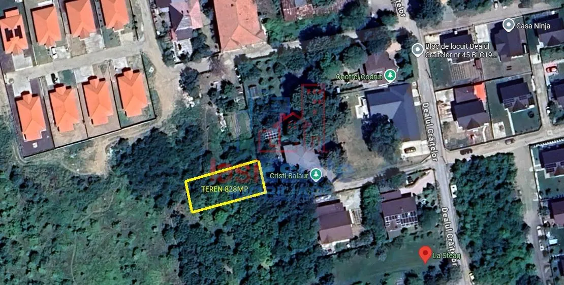 Dealul Craitelor Visan - Barnova TEREN 828mp intravilan  loc de casa - foto 1