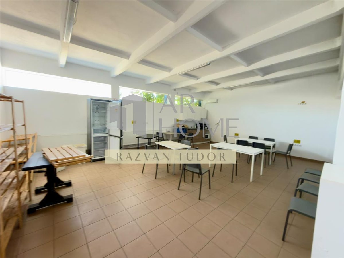 Hala industriala , parc industrial Brazi , 1MW putere - foto 15
