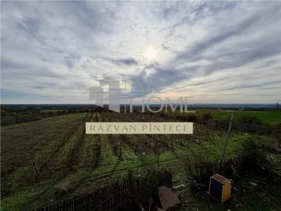 Pensiune 6 camere, teren 12713 mp, Dealul Mare, Urlati, Prahova - foto 16