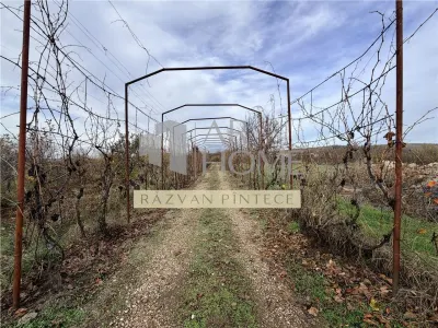 Pensiune 6 camere, teren 12713 mp, Dealul Mare, Urlati, Prahova - foto 18