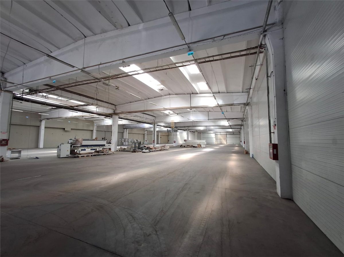Spatiu Industrial - 2500 mp - Productie - Depozitare - Distributie - foto 14